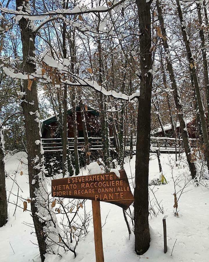 Chalet Etna Мило Экстерьер фото